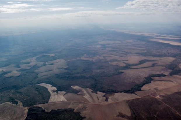 Imazon mostra que MT foi Estado da Amazônia Legal com menor desmatamento