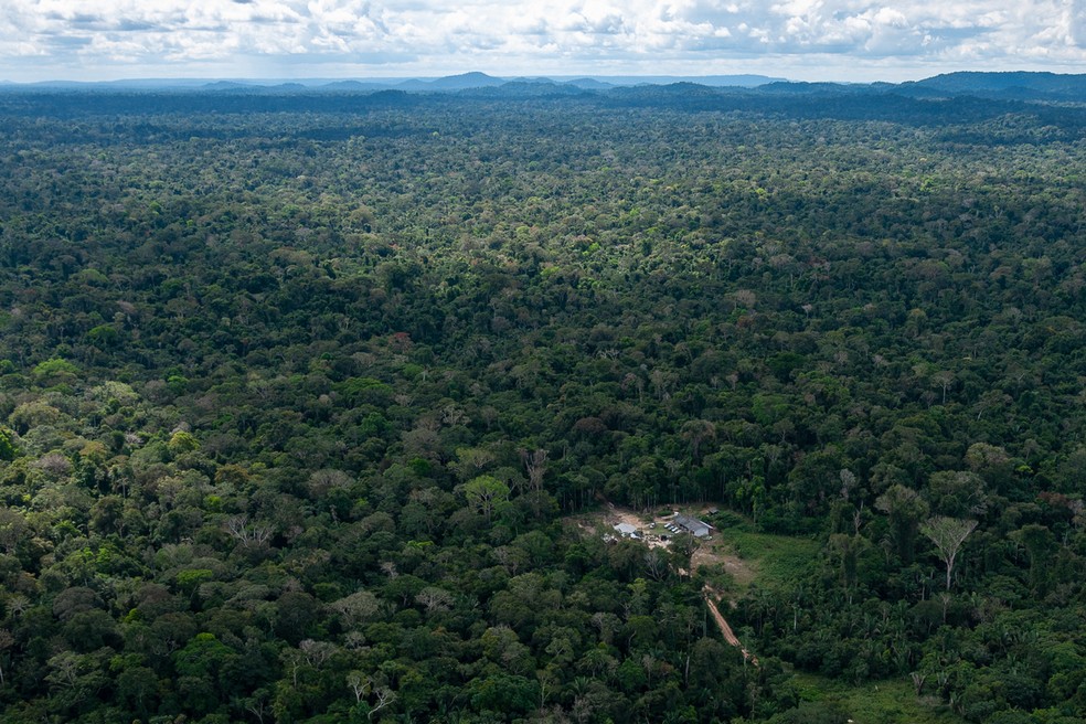 Invasores constroem casas em terra indígena de tribo isolada em MT e deixam a área após notificação de órgãos federais