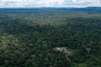 Invasores constroem casas em terra indígena de tribo isolada em MT e deixam a área após notificação de órgãos federais