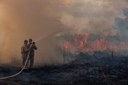 MT já registrou mais de 22,6 mil focos de queimada e brigadistas de outros estados ajudam no combate ao fogo