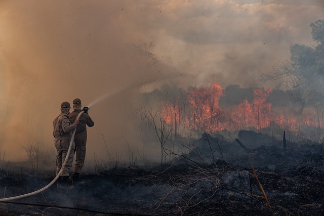 MT já registrou mais de 22,6 mil focos de queimada e brigadistas de outros estados ajudam no combate ao fogo